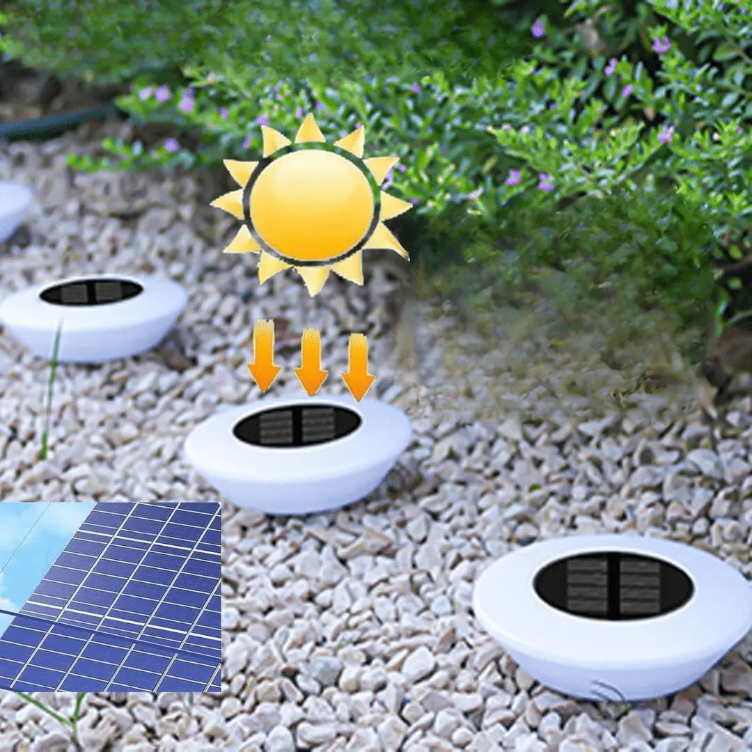 Lampe Solaire Écologique pour Éclairage Extérieur Jardin – Luminova Olloret