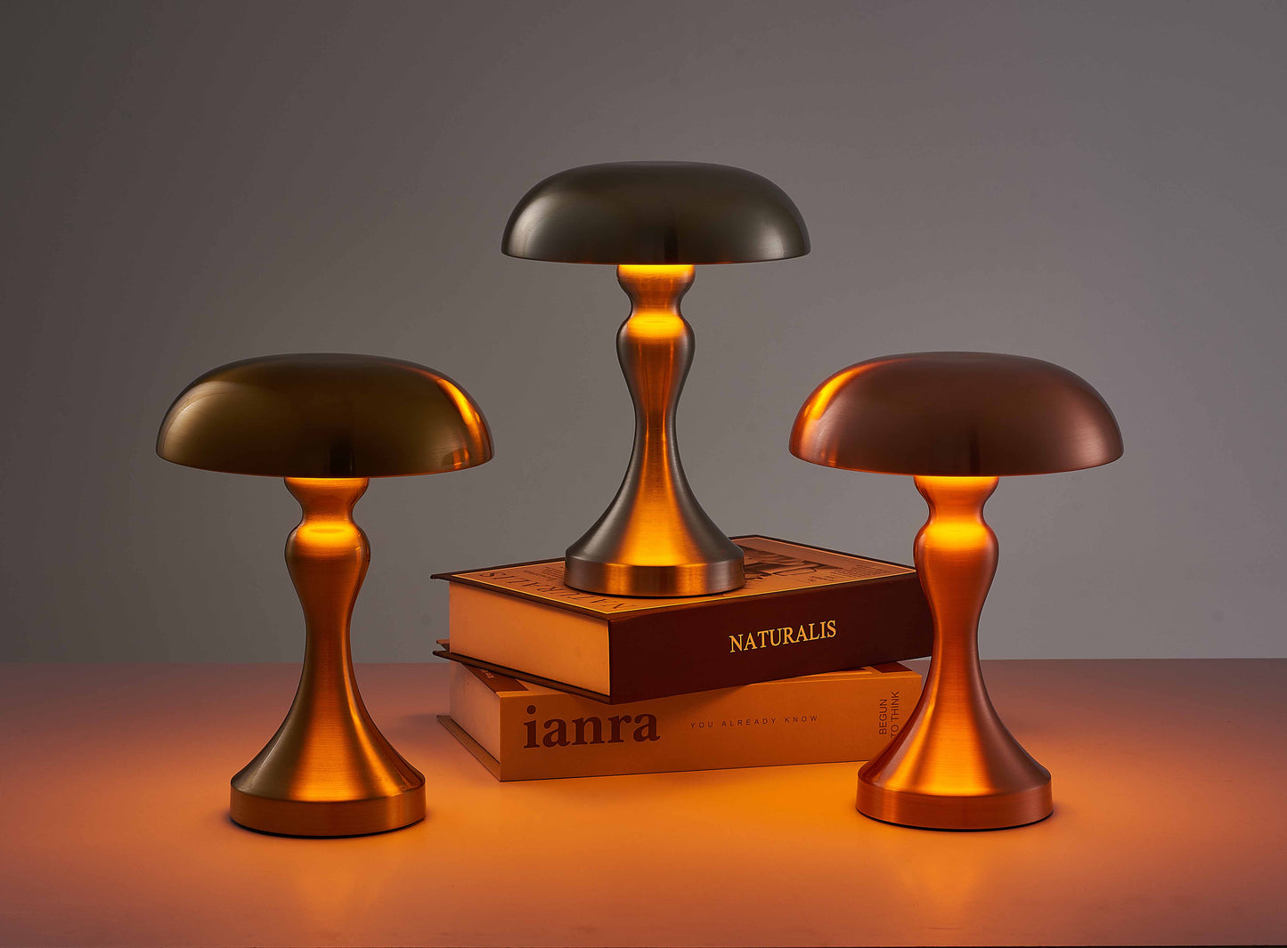 Lampe de Table Design et Moderne - Mantar-lampe de table-Olloret