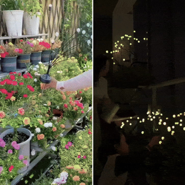Lampes Solaire LED Effet Lucioles pour Éclairage Extérieur Jardin – Luminara