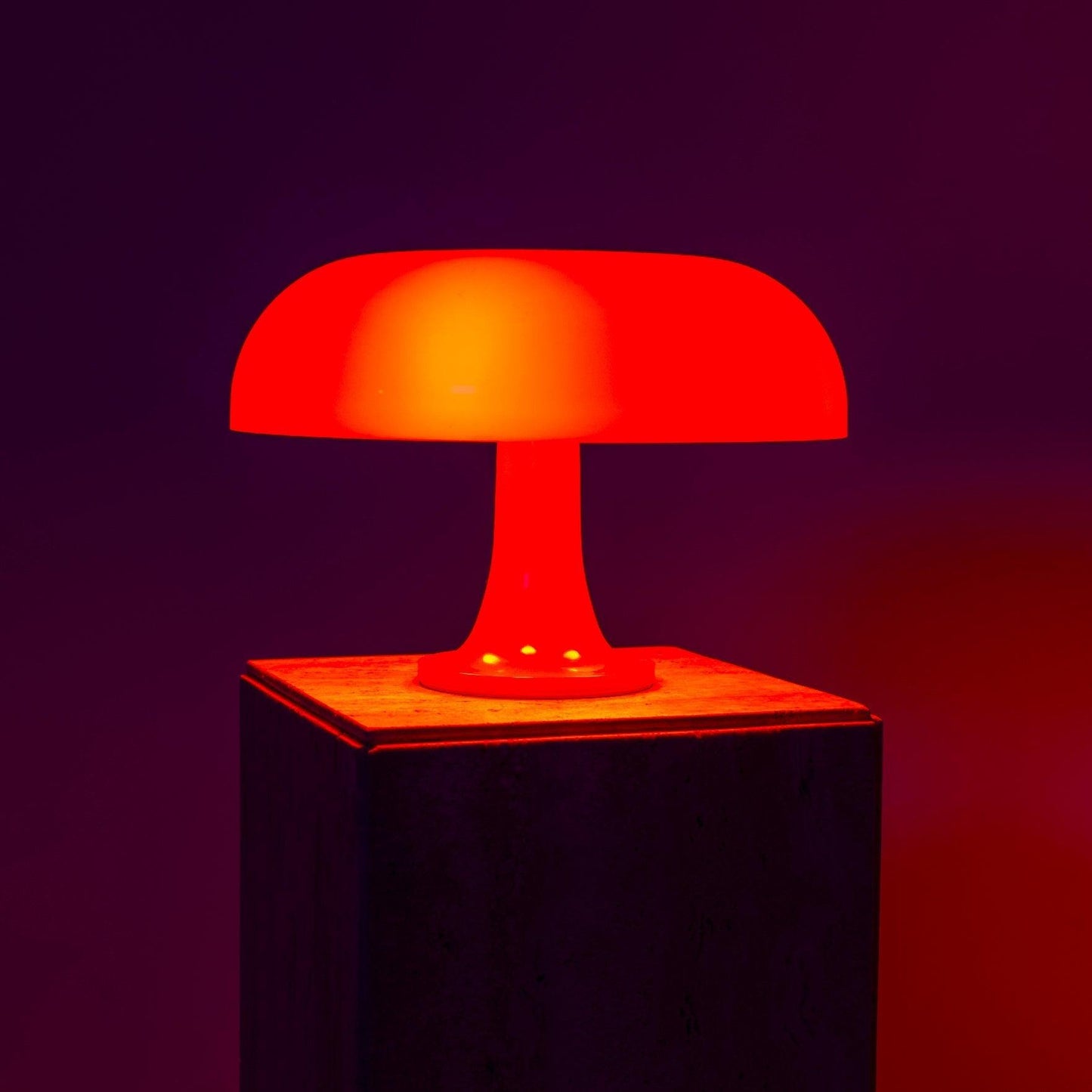 Lampe Champignon de Table - Illumine-Lampe-Olloret